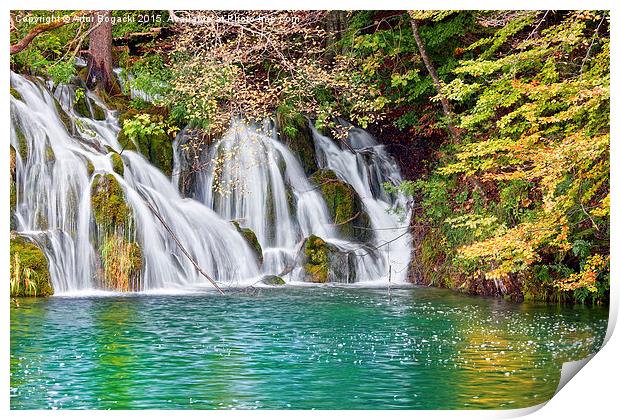 Waterfall in Autumn Scenery Print by Artur Bogacki