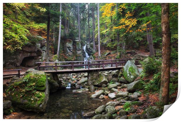 Bridge Over Stream In Autumn Mountain Forest  Print by Artur Bogacki