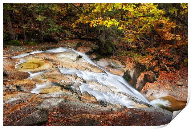 Mountain River In Autumn Print by Artur Bogacki
