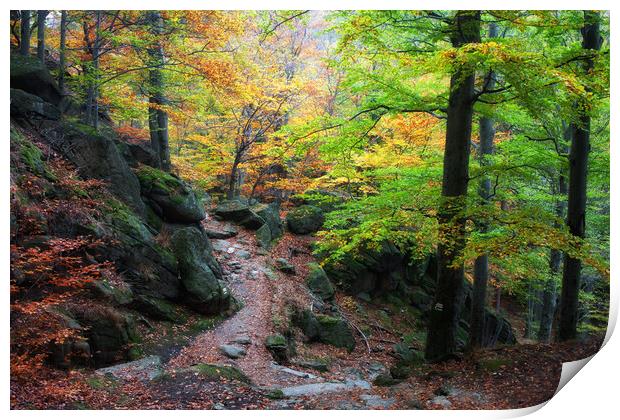 Autumn Mountain Forest Print by Artur Bogacki