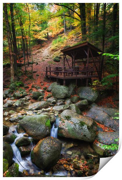 Creek In Autumn Mountain Forest Print by Artur Bogacki