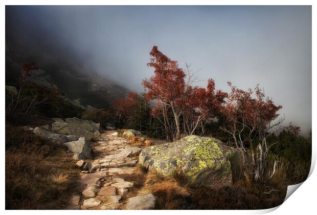 Path In Misty Mountains Print by Artur Bogacki