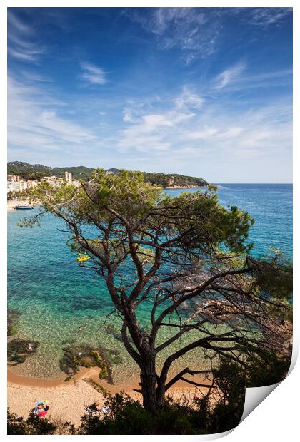 Single Tree Against The Sea At Costa Brava In Spain Print by Artur Bogacki