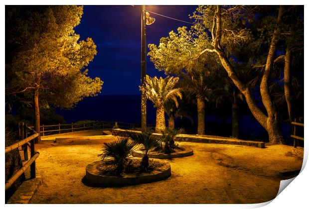 Night In Park By The Sea Print by Artur Bogacki