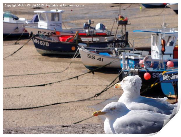 Seagulls of St Ives Print by WrightAngle Photography