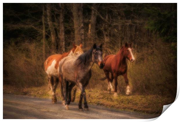 Dreamy Horses Print by Sarah Ball