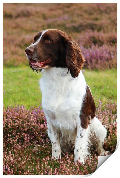 Waiting for a retrieve Print by Geoffrey Matthews