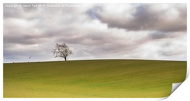 Lonely Tree Print by Jason Tait