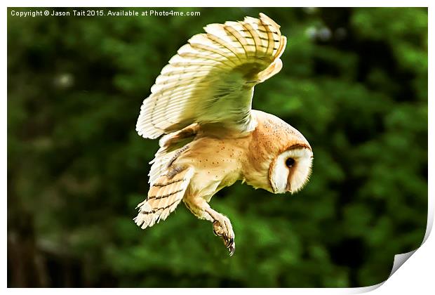  Barn Owl in Flight Print by Jason Tait