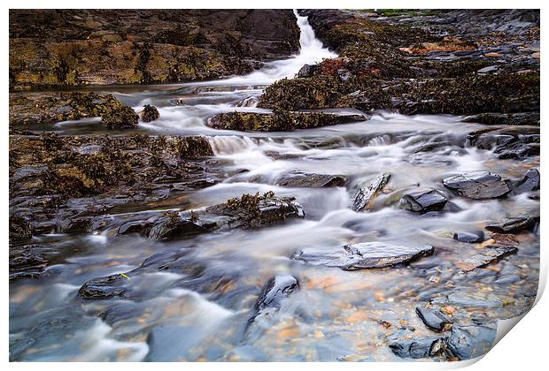  Stream to the Sea Print by Graham Daly
