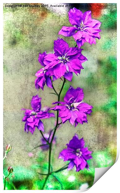  the wild orchid Print by naz kearney