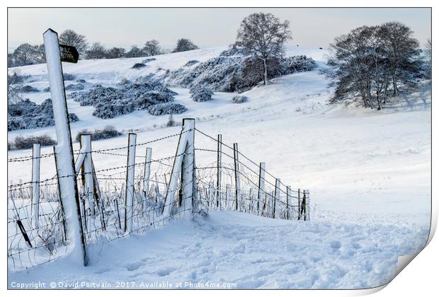 Hadleigh pathway in snow Print by David Portwain