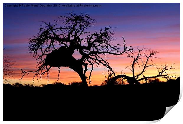 Namibian sunset Print by Paolo Monti Guarnier