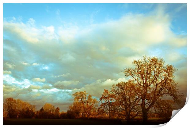  An Autumn's day in Oswestry Print by Julian Bound