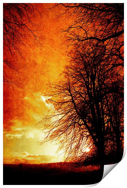  Lone tree in Autumn, Oswestry, Shropshire Print by Julian Bound