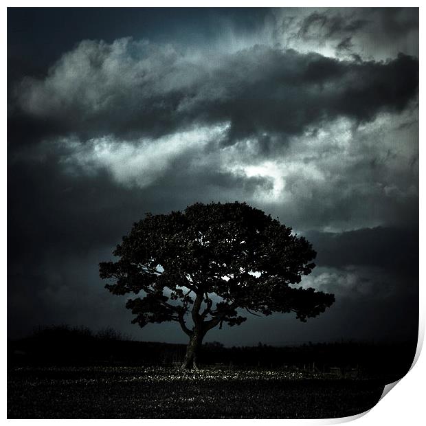   Autumn tree with stormy skies Print by Julian Bound