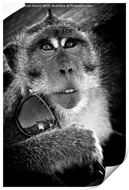   Monkey of Bali Print by Julian Bound