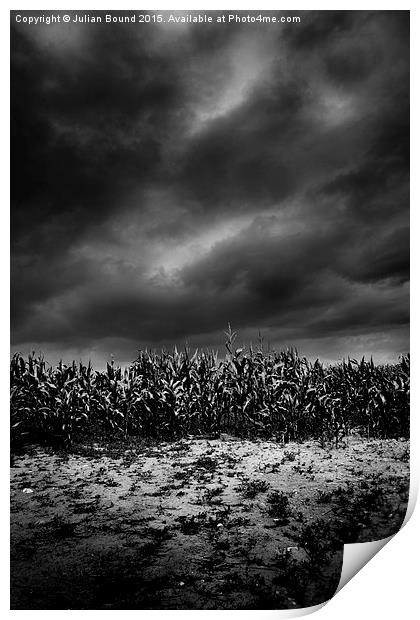   Cornfield at night, Shropshire Print by Julian Bound