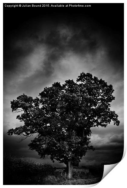    An Autumn tree with stormy skies Print by Julian Bound