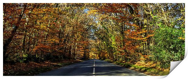  Autumn Straights Print by Glenn Cresser