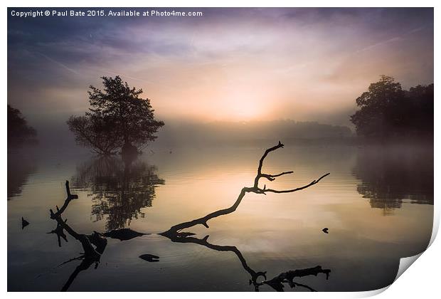  Tranquillity  Print by Paul Bate