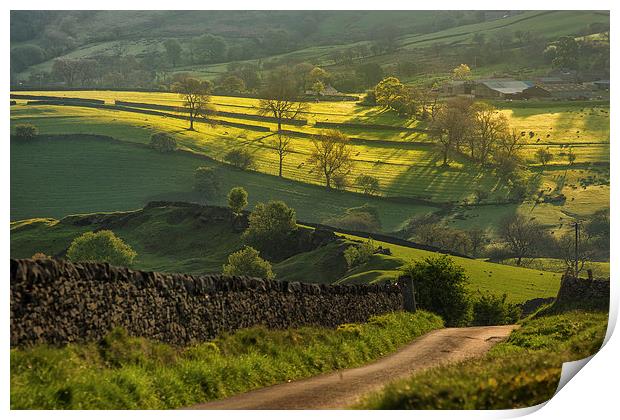 Peak District Light  Print by Phil Sproson