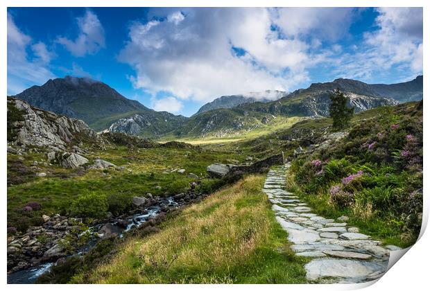 Up to the top. Print by Bill Allsopp