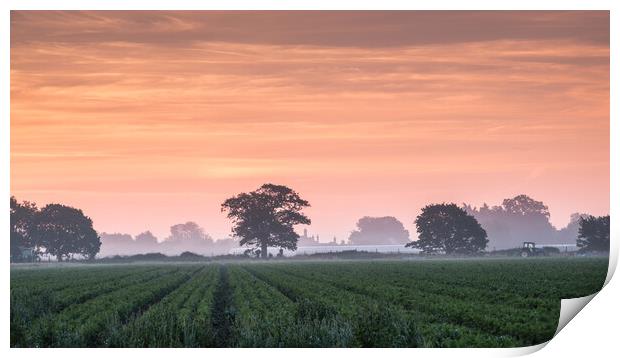 Misty Suffolk Sunrise. Print by Bill Allsopp