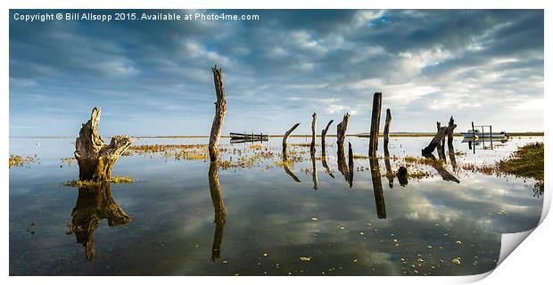 Thornham Stumps in Norfolk at high tide. Print by Bill Allsopp