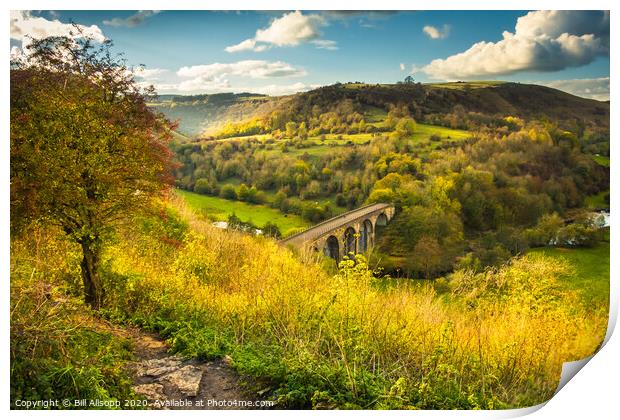 Monsal Dale and the Headstone Viaduct. Print by Bill Allsopp