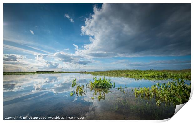 High tide on the marshes. Print by Bill Allsopp