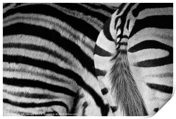 Stripes. Print by Bill Allsopp