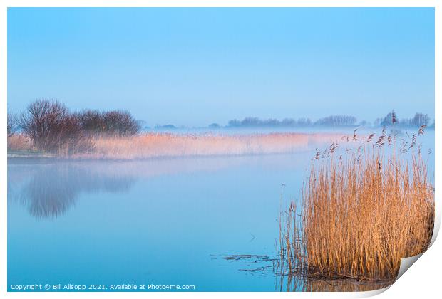 Blue and gold Print by Bill Allsopp