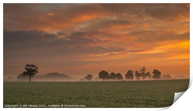 Farmland at dawn. Print by Bill Allsopp