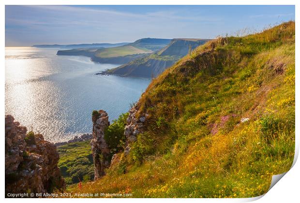 The Jurassic coast. Print by Bill Allsopp