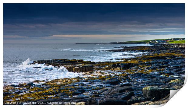 The rocky Northumberland coast. Print by Bill Allsopp