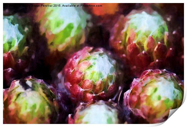 Cactus Heads Print by Tracy Brown-Percival
