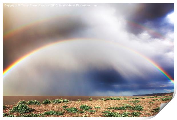 Under the Rainbow Print by Tracy Brown-Percival