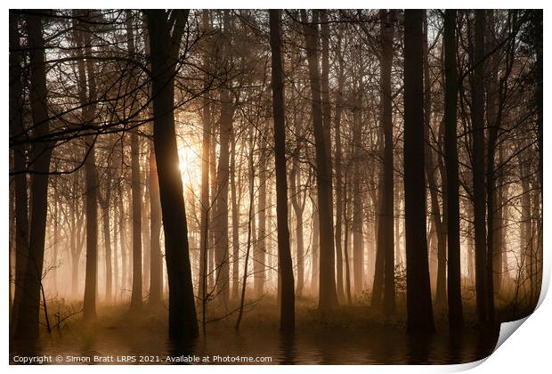 Winter forest at sunrise with mist and fog Print by Simon Bratt LRPS