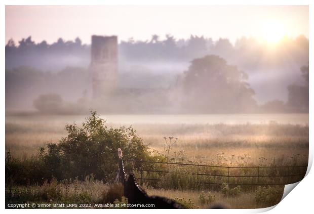 View from Castle Rising in Norfolk uk with barn owl Print by Simon Bratt LRPS