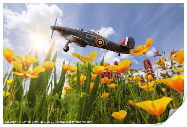 Hawker Hurricane flying over poppies in spring Print by Simon Bratt LRPS