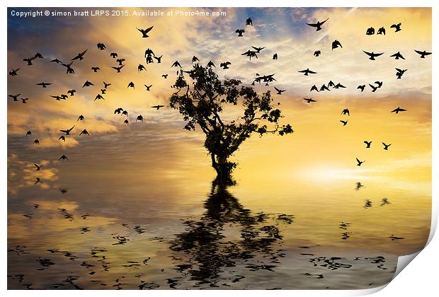 Single tree sunrise and birds Print by Simon Bratt LRPS