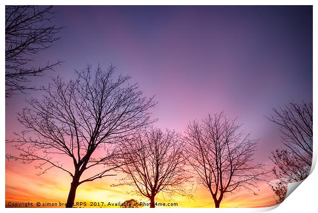 Fiery winter sunset with bare trees Print by Simon Bratt LRPS