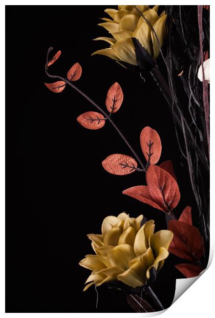 Flowers arrangement with black background Print by Simon Bratt LRPS