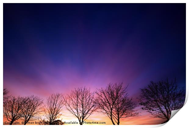 Fiery winter sunset with line of bare trees Print by Simon Bratt LRPS