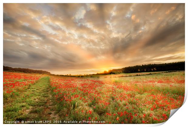 Stunning poppy field at sunrise in Norfolk UK Print by Simon Bratt LRPS