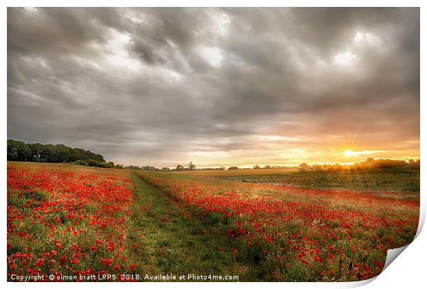 Path through wild poppies at dawn Print by Simon Bratt LRPS