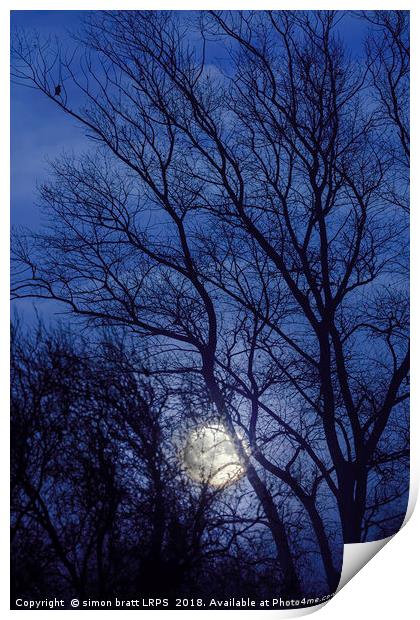 Full moon rising through trees  Print by Simon Bratt LRPS