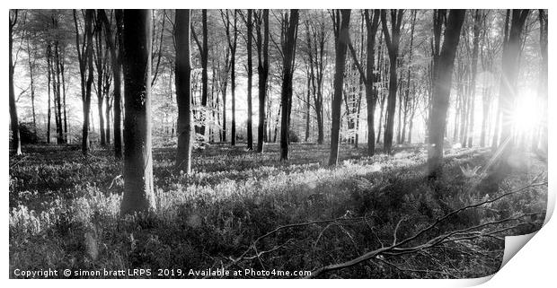 Bluebell woods sunrise in spring black and white Print by Simon Bratt LRPS