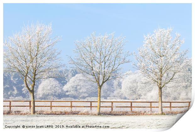 Three winter trees and frozen fence Print by Simon Bratt LRPS
